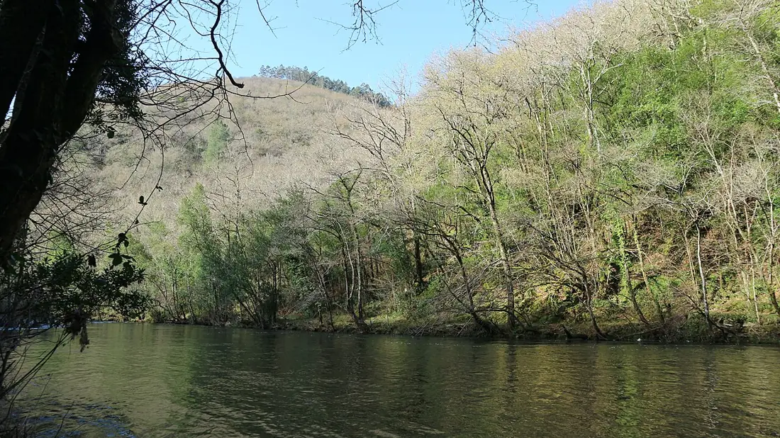 Río Eume bordeado de árboles en el Parque Natural Fragas do Eume